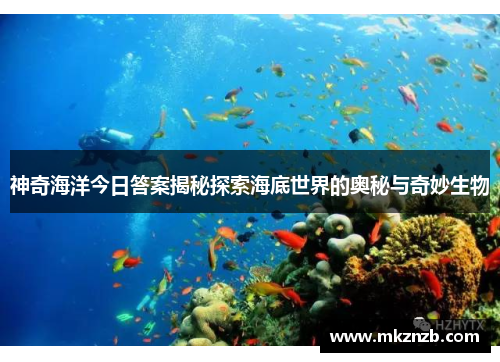 神奇海洋今日答案揭秘探索海底世界的奥秘与奇妙生物